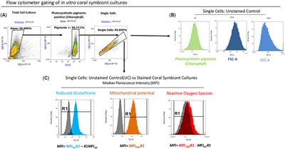 Flow cytometry-based biomarker assay for in vitro identification of microalgal symbionts conferring heat tolerance on corals